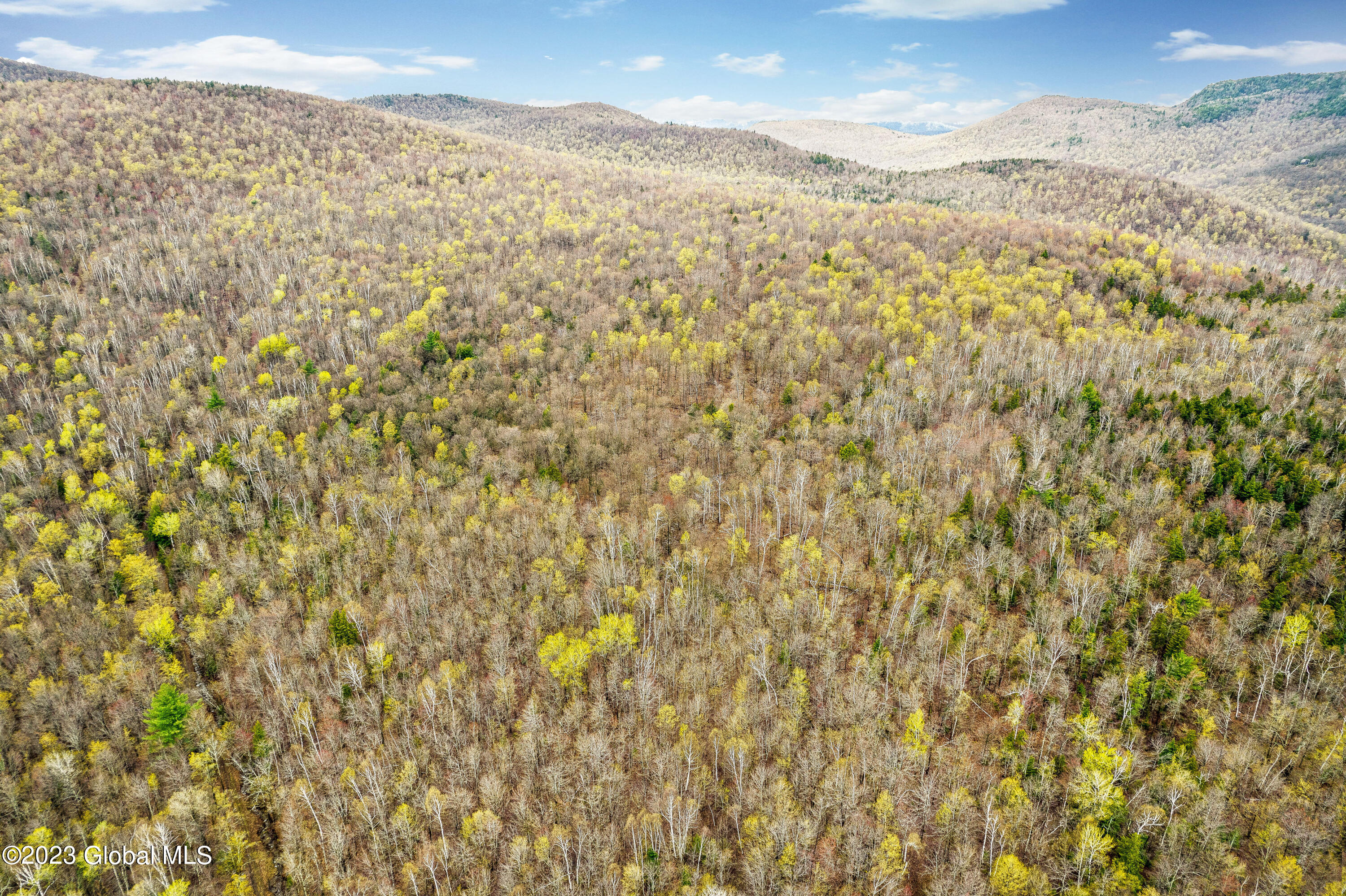 0 Colvin Road Bakers Mills, NY 12811 - Photo 8 of 34 6-DJI_0976