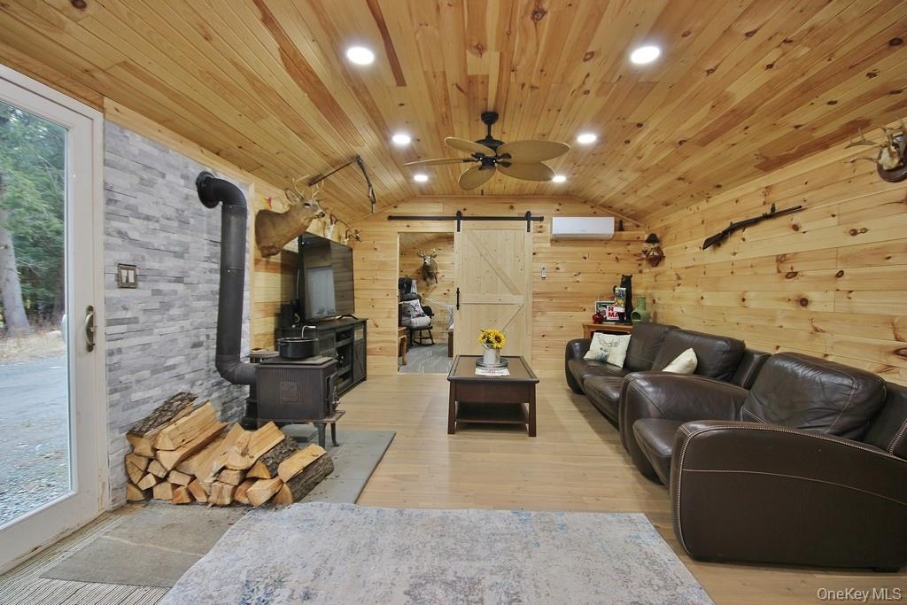 703 Dahlia Road Livingston Manor, NY 12758 - Photo 11 of 44 a living room with furniture and a flat screen tv
