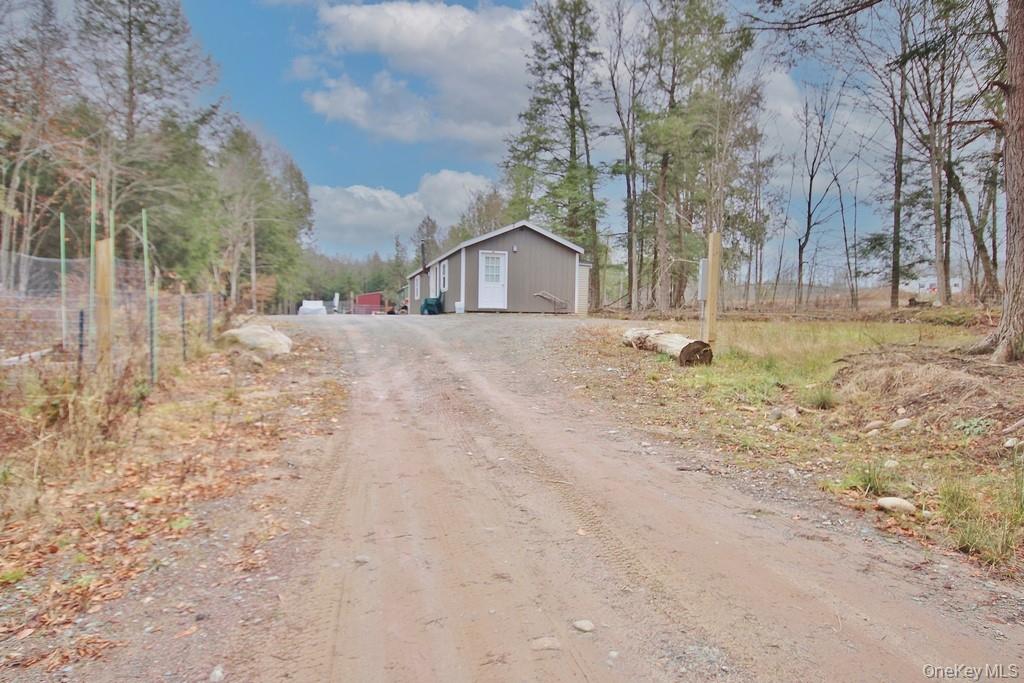 703 Dahlia Road Livingston Manor, NY 12758 - Photo 30 of 44 a big house with trees in front of it