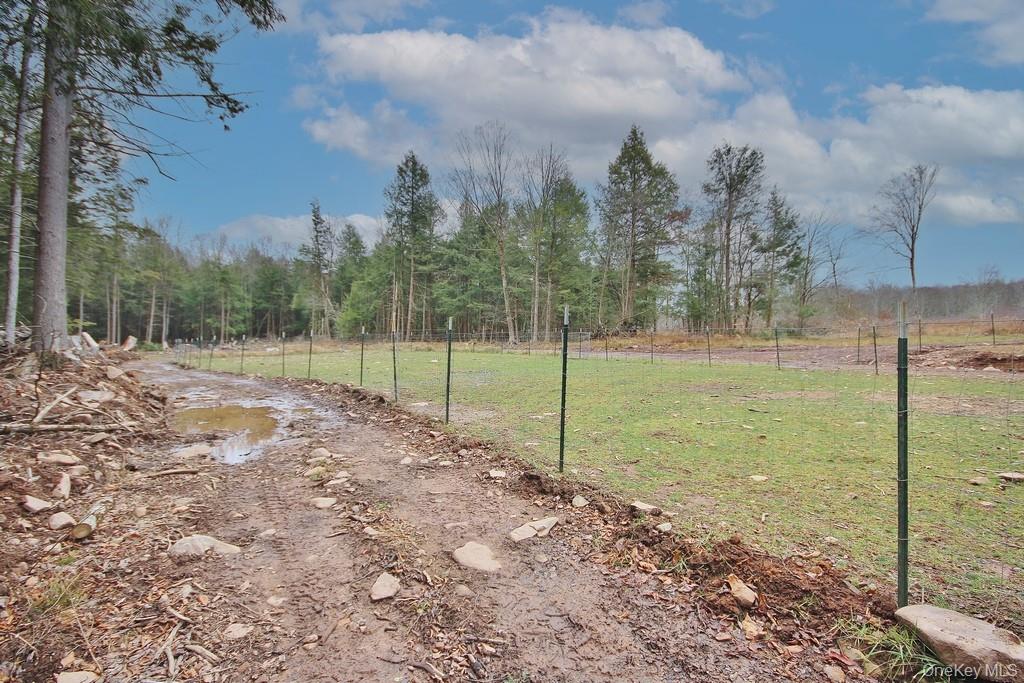703 Dahlia Road Livingston Manor, NY 12758 - Photo 37 of 44