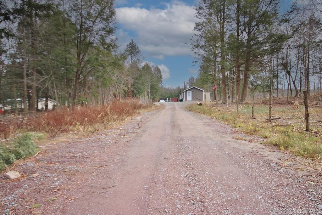 703 Dahlia Road Livingston Manor, NY 12758 - Photo 43 of 44 a view of a yard with a tree