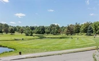 162 Lake Shore Road, Unit 2 Boston, MA 02135 - Photo 13 of 17 a view of a golf course with a trees