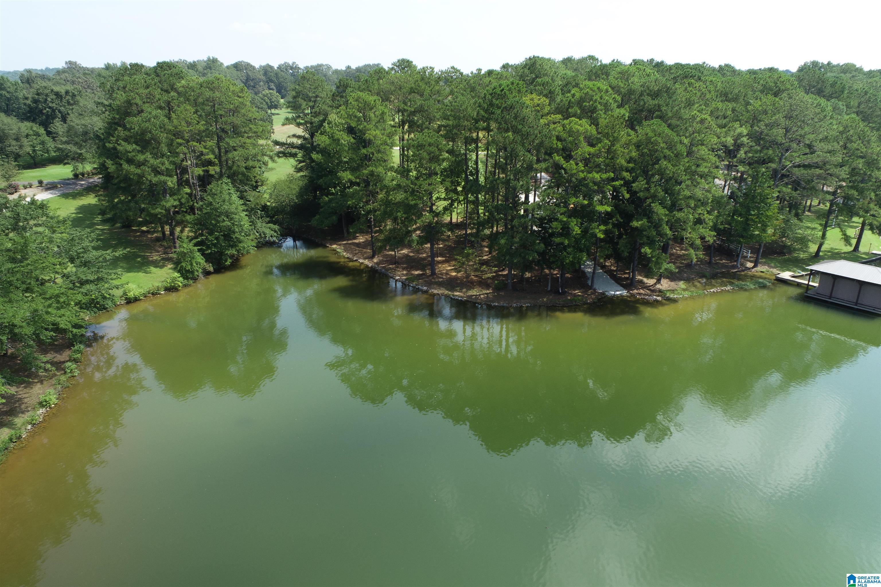 0 Wylie Road Wedowee, AL 36278 - Photo 10 of 10