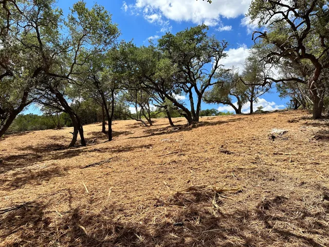 a view of empty space with trees