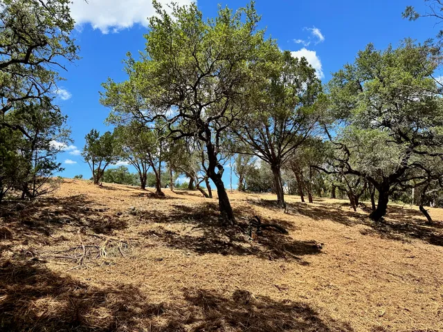 a view of a snow on the side of the road