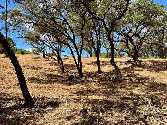 a view of yard covered with snow in outdoor