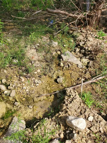 a view of a lake with a yard