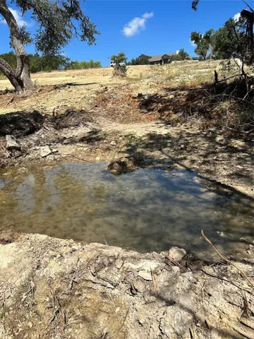 a view of a yard with a large tree