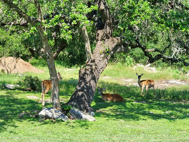 an aerial view of a swimming pool patio and outdoor seating