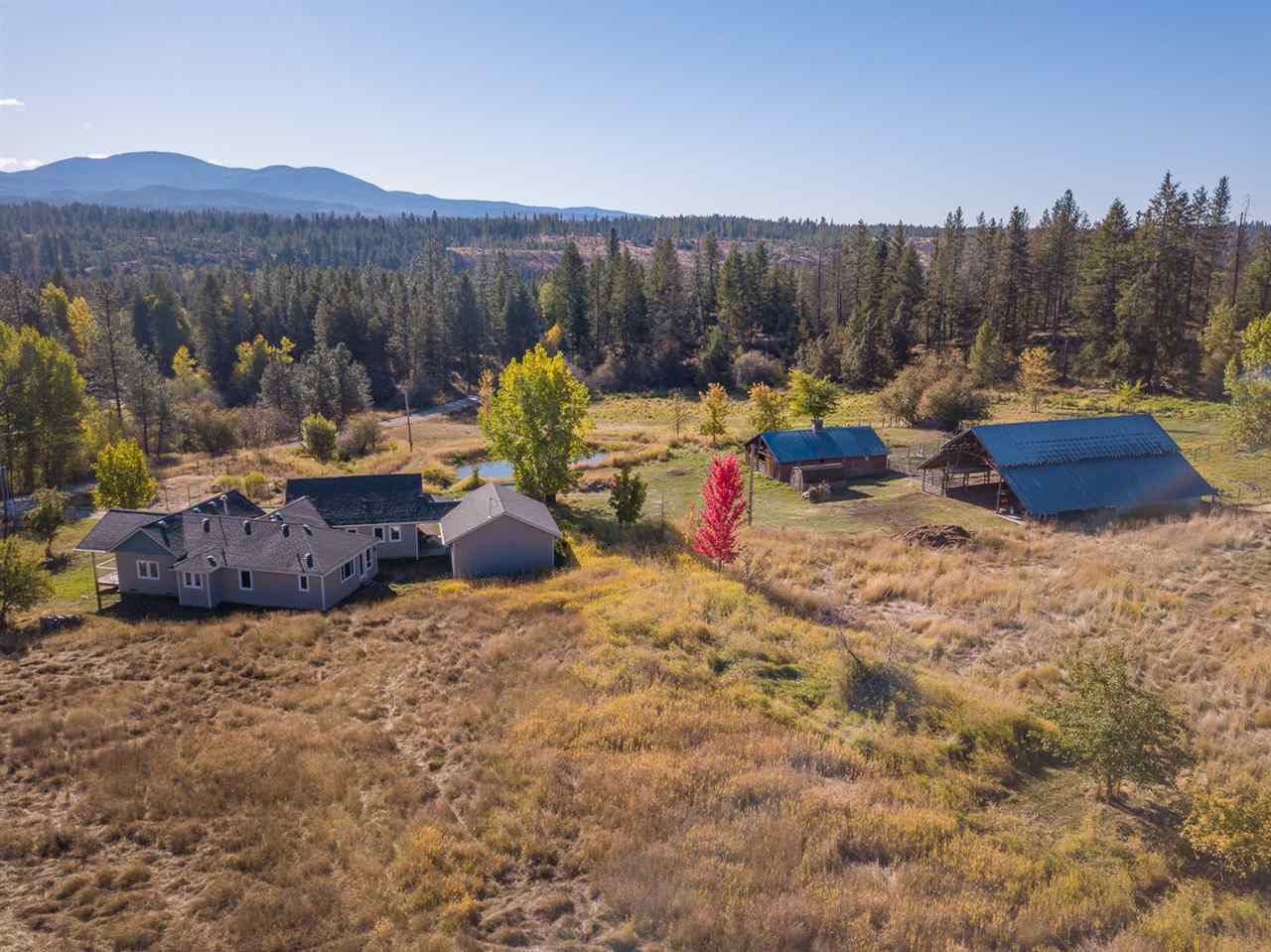 42515 North Boundary Road Elk, WA 99009 - Photo 8 of 20