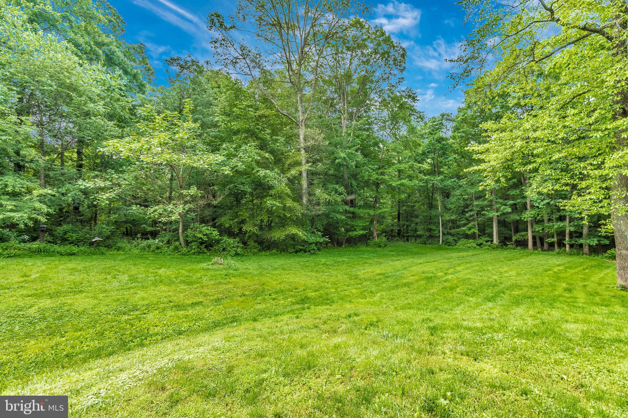 6913 Kellys Store Road Thurmont, MD 21788 - Photo 44 of 49 Spacious Backyard