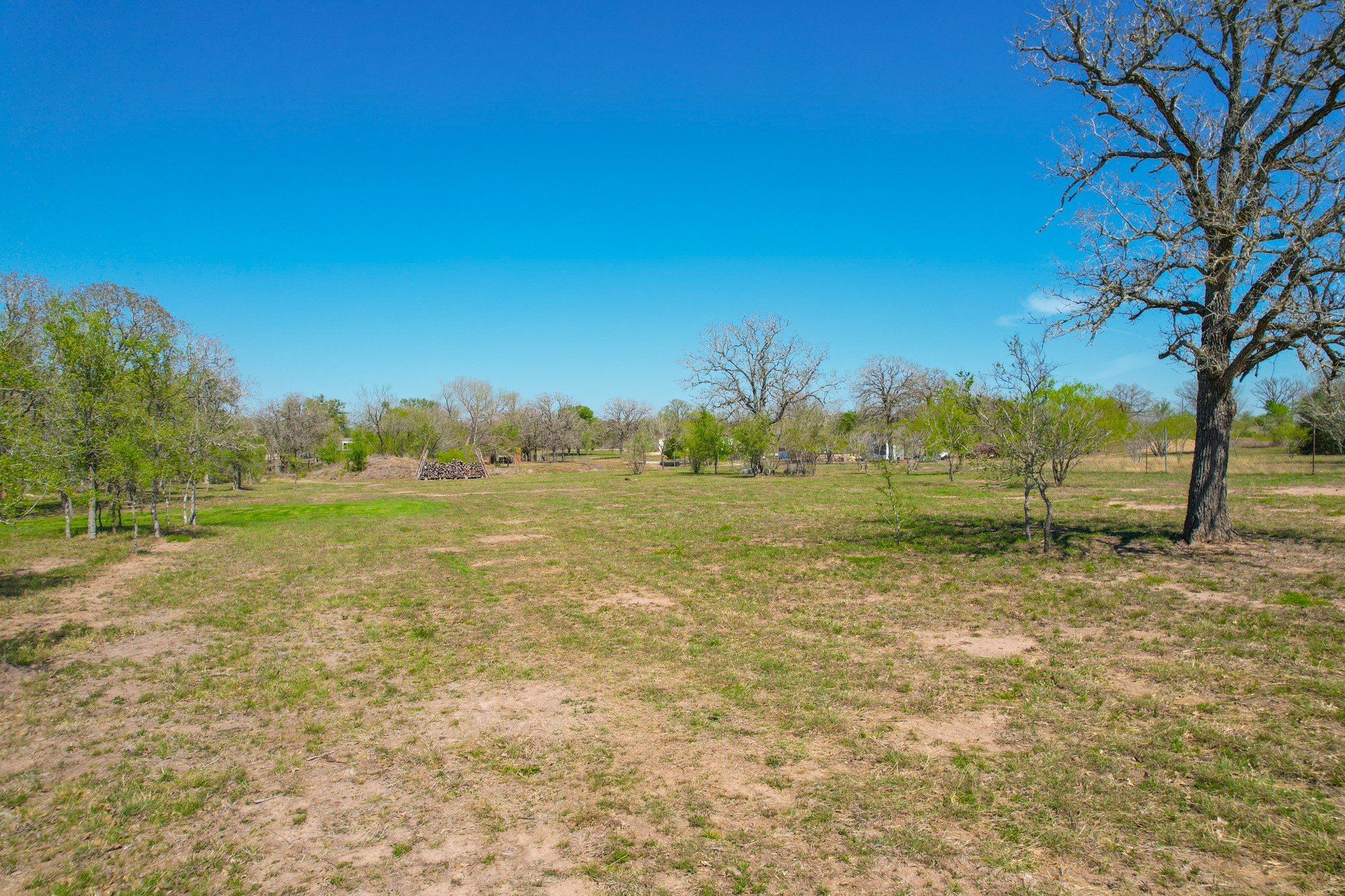 6739 Taylorsville Road Dale, TX 78616 - Photo 28 of 37 a view of a field with an trees