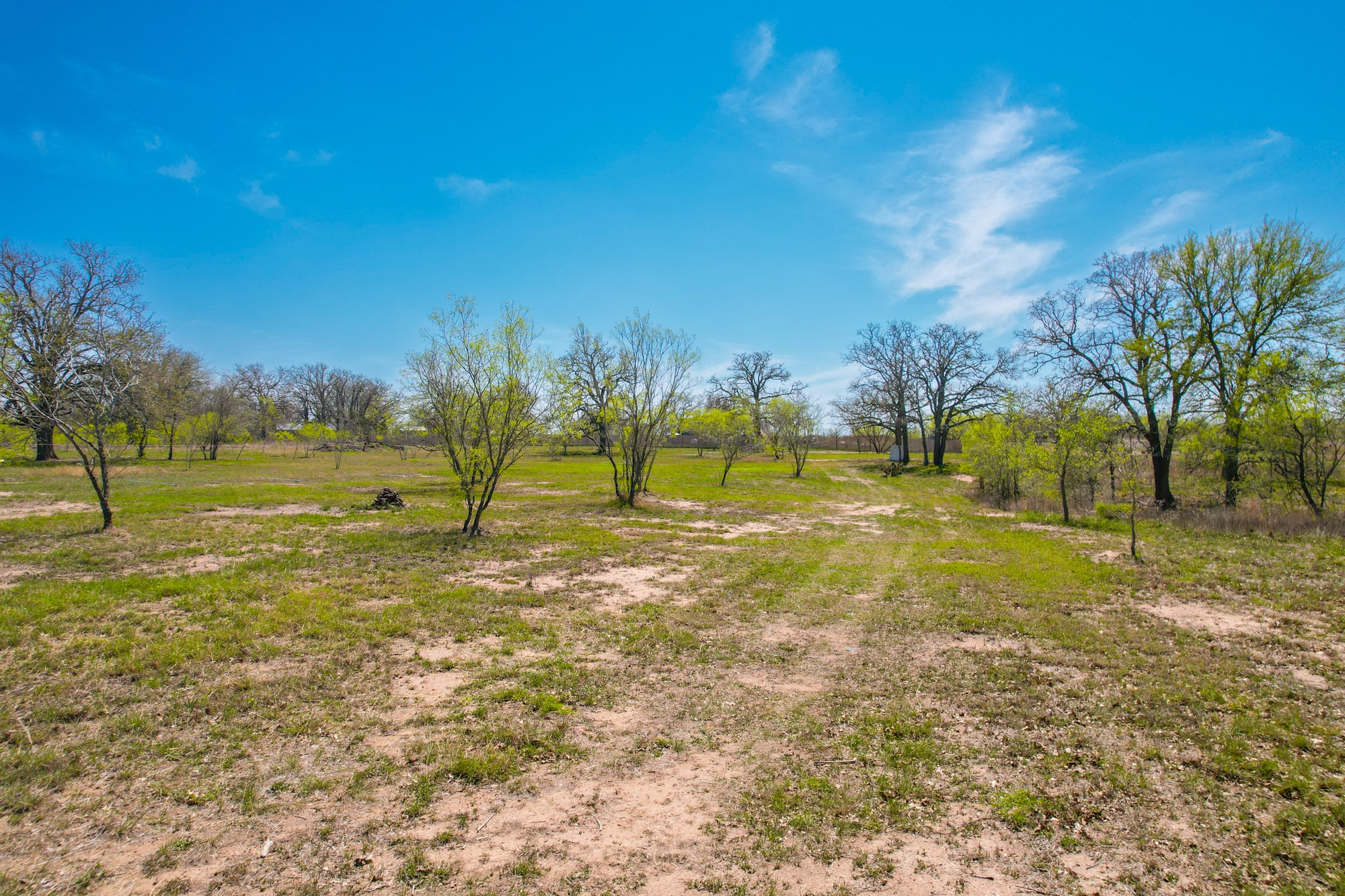 6739 Taylorsville Road Dale, TX 78616 - Photo 29 of 37 a view of yard with trees