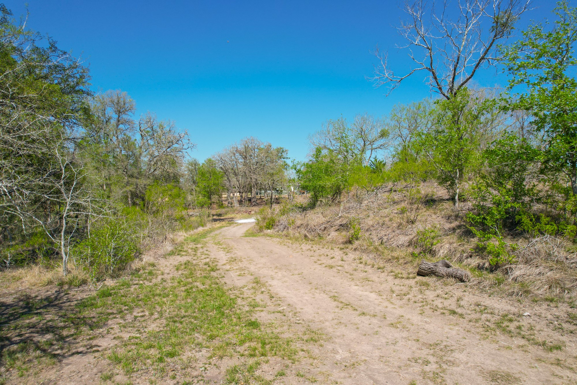 6739 Taylorsville Road Dale, TX 78616 - Photo 30 of 37 a view of a yard with trees