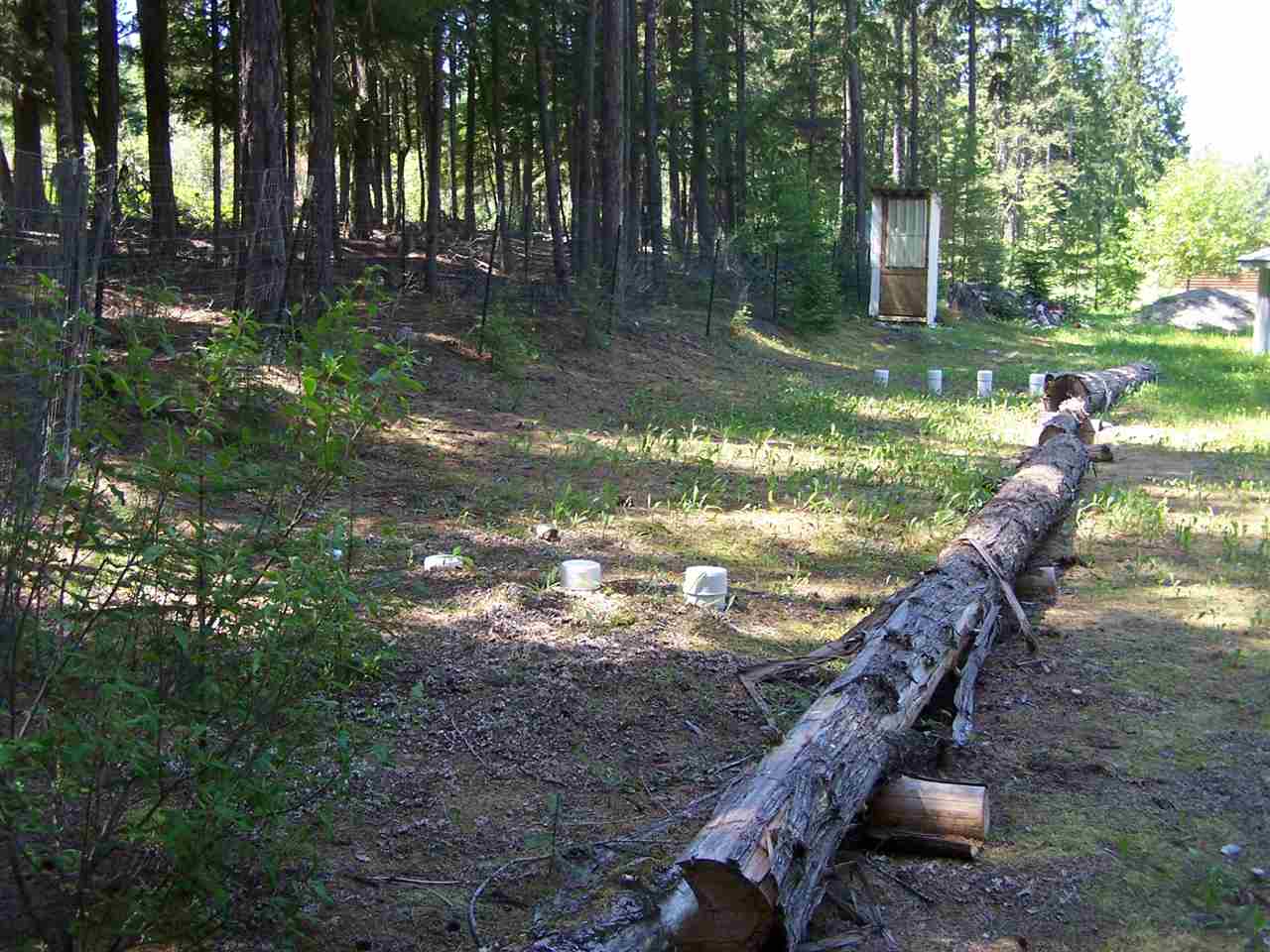 404397 State Rte 20 Cusick, WA 99119 - Photo 10 of 20 Gallery Image 10