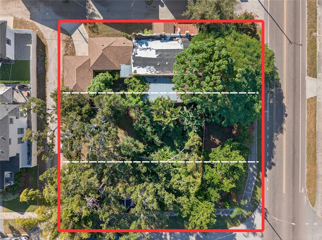 a view of a garden with flowers