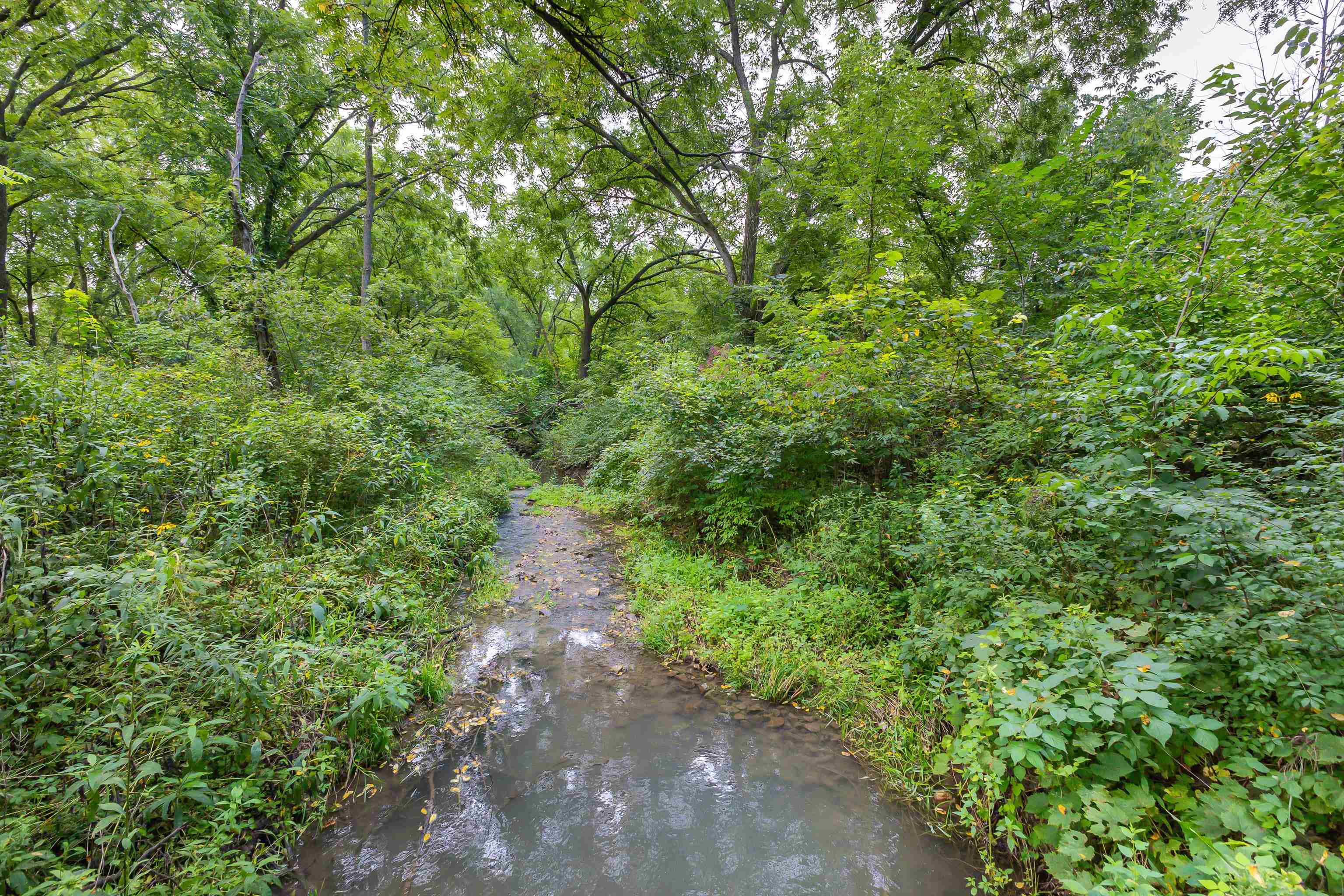 40 Heatherdowns Lane Galena, IL 61036 - Photo 13 of 13 a view of a forest with a tree