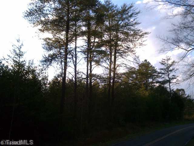 Tbd Reeves Road Siloam, NC 27047 - Photo 2 of 2 Land/Lot.