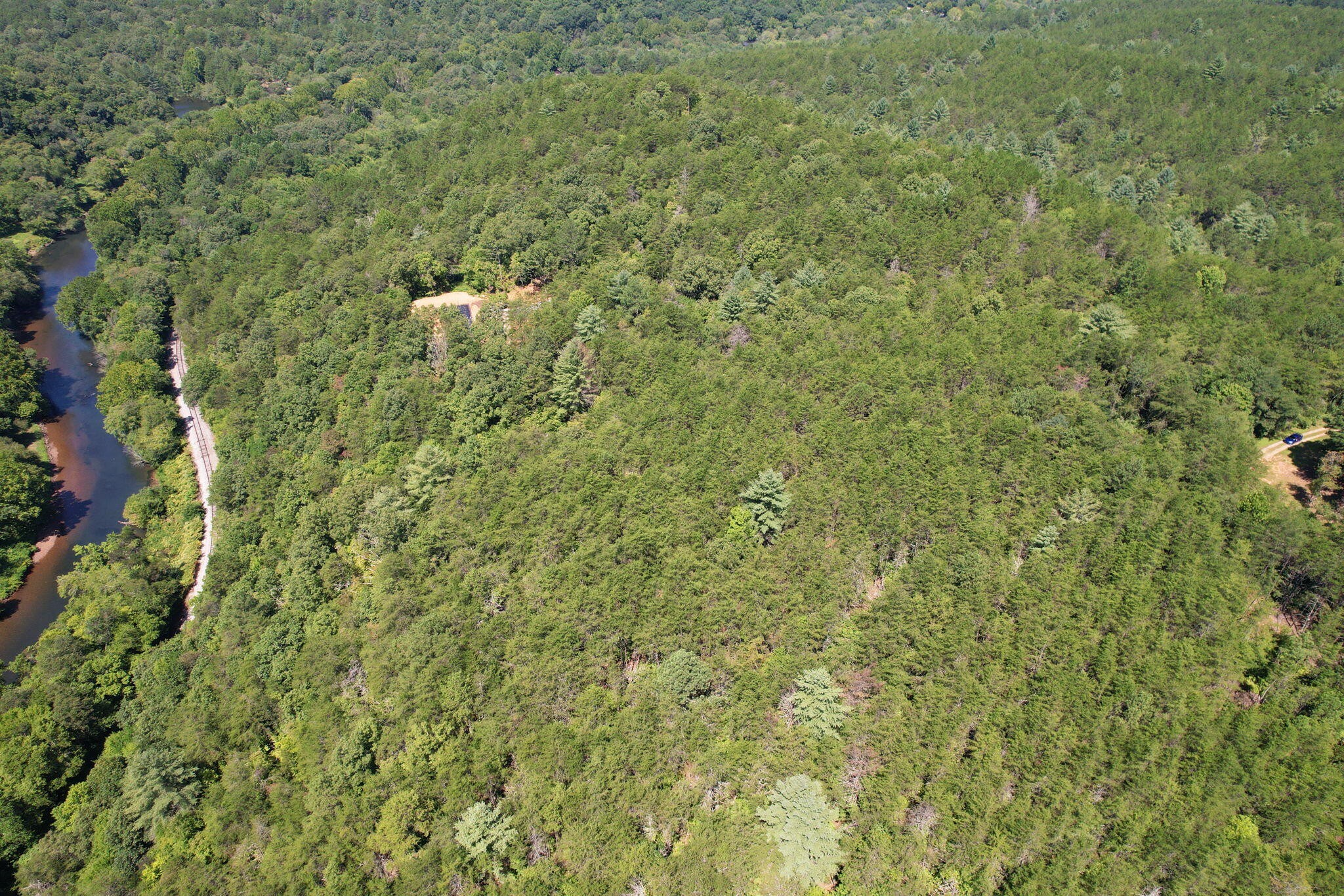 0 Staffordtown Road Copperhill, TN 37317 - Photo 11 of 12 a view of a big yard with plants and large trees