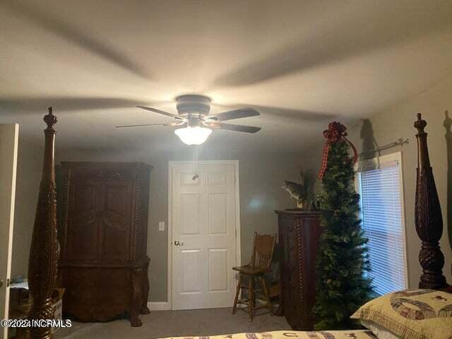 481 Cm Cartrette Road Chadbourn, NC 28431 - Photo 23 of 43 sue 29