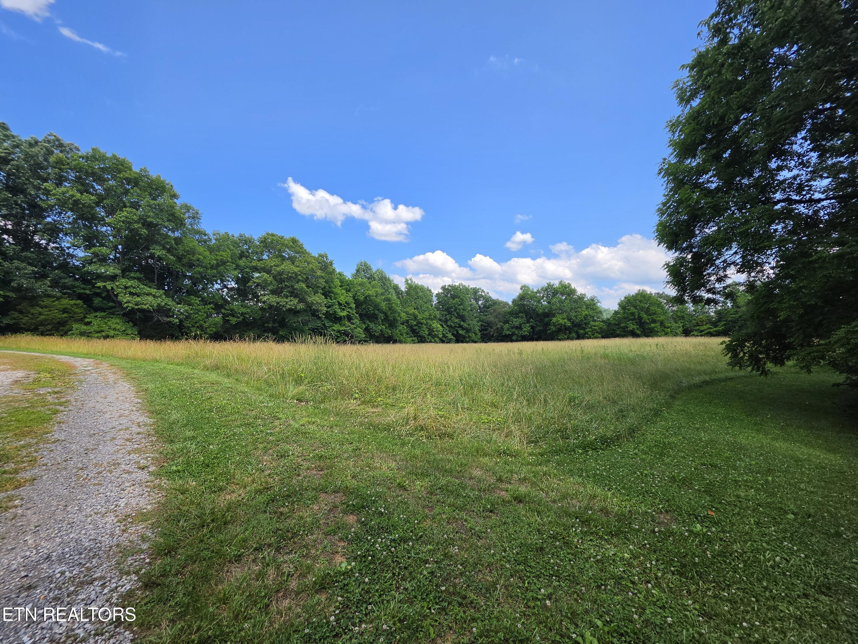264 Carlos Road Sneedville, TN 37869 - Photo 10 of 58 20260611_162049