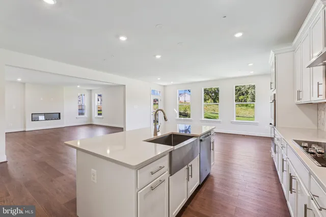 a kitchen with stainless steel appliances granite countertop a sink and a stove