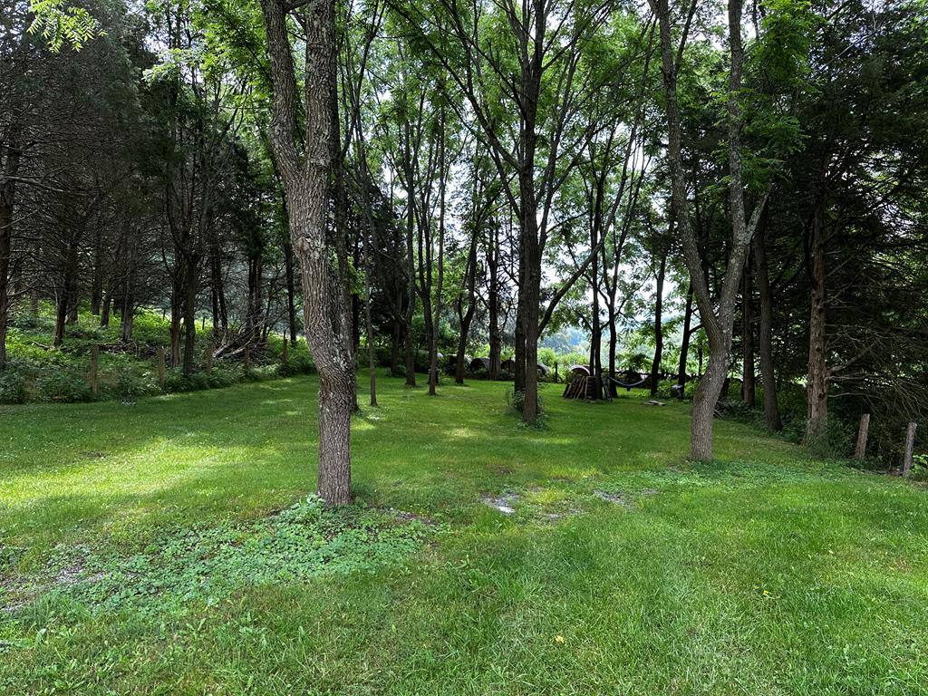 38000 Loves Mill Road Chilhowie, VA 24319 - Photo 24 of 27 Gallery Image 24