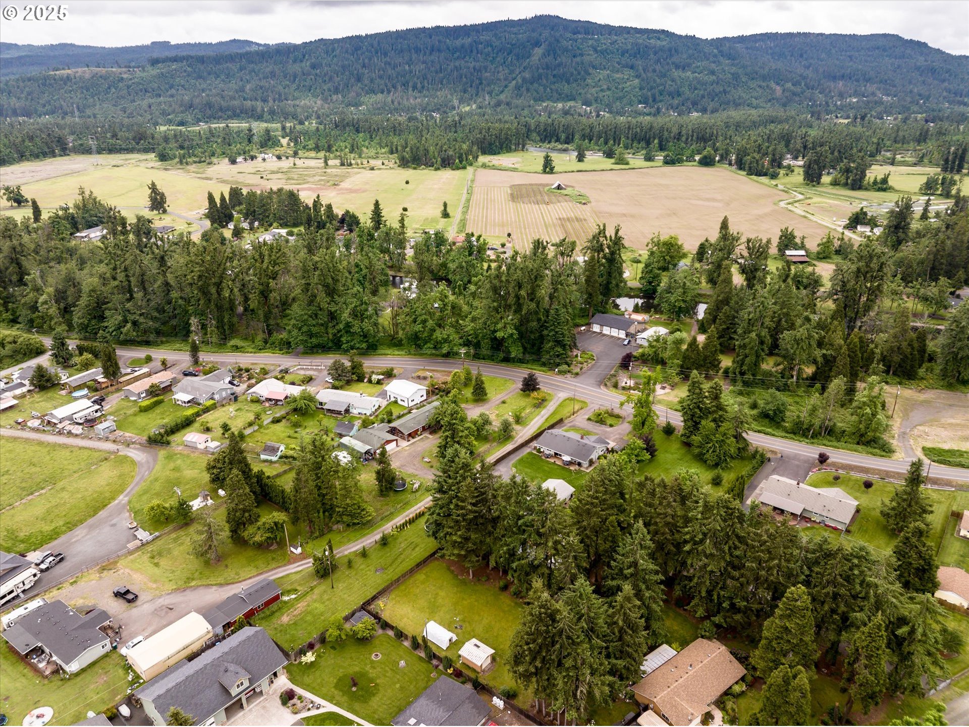 37807 Camp Creek Road Springfield, OR 97478 - Photo 39 of 40