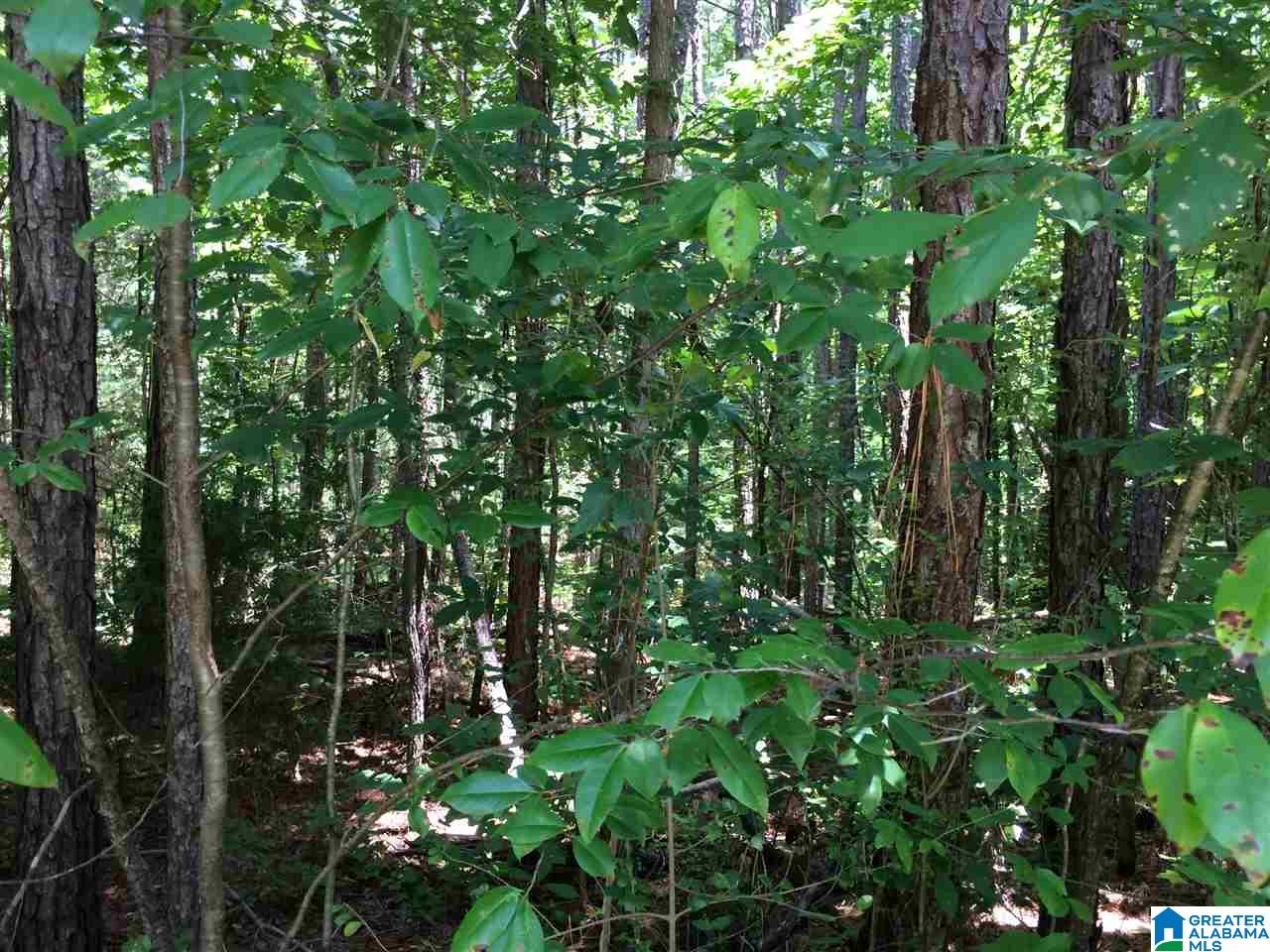 3901 Dean Road, Unit 5 ACRES Pinson, AL 35126 - Photo 21 of 25