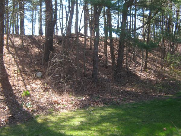 7 Beaver Brook Road Sharon, MA 02067 - Photo 5 of 17 Gallery Image 5