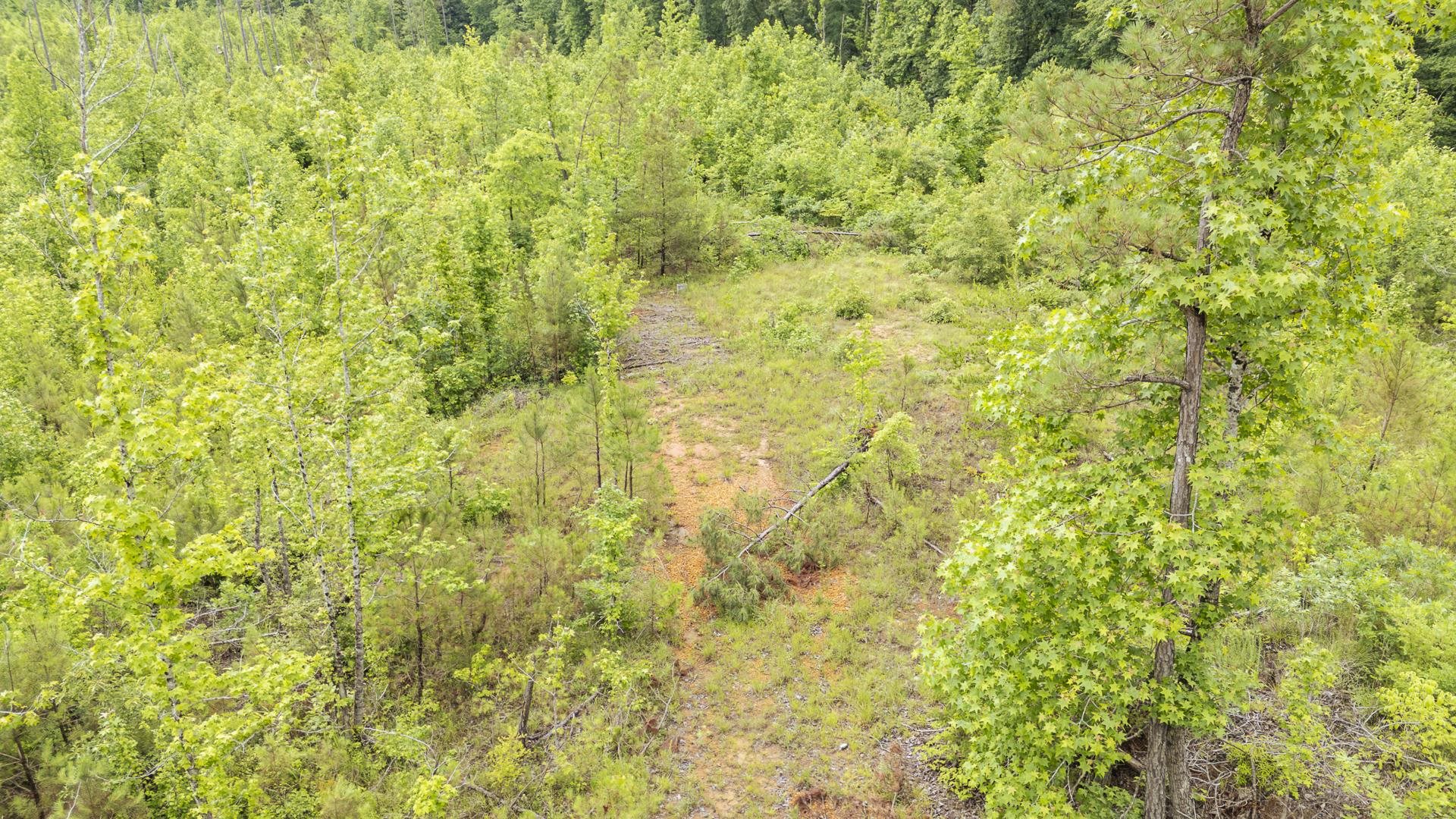 0 Leapwood Enville Road Adamsville, TN 38310 - Photo 15 of 38