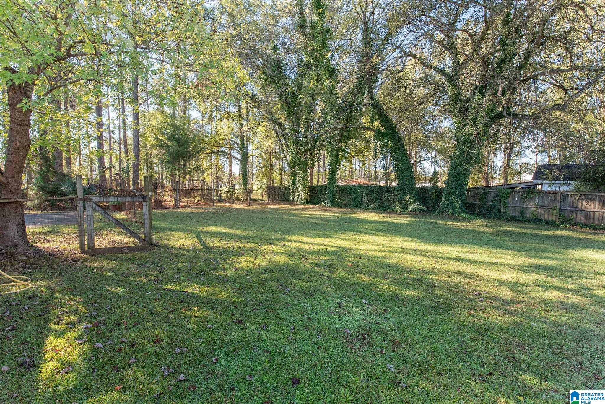 329 Birmingham Road Centreville, AL 35042 - Photo 50 of 53