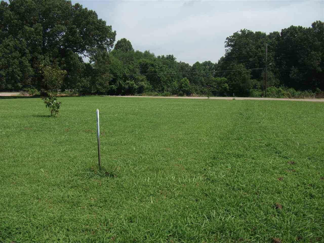 a view of a green field with a tree