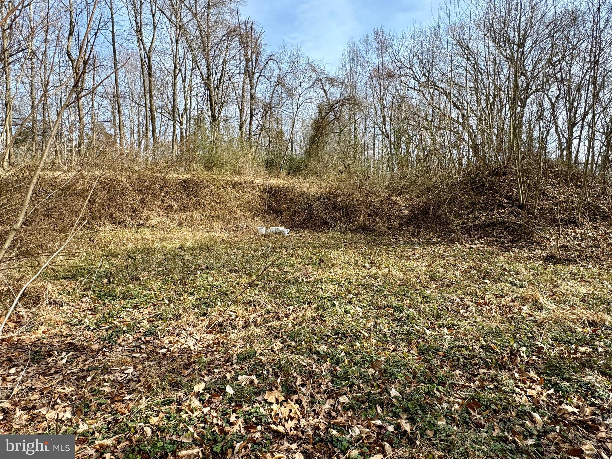 10226 Springhill Newtown Road La Plata, MD 20646 - Photo 11 of 39 a view of backyard with green space