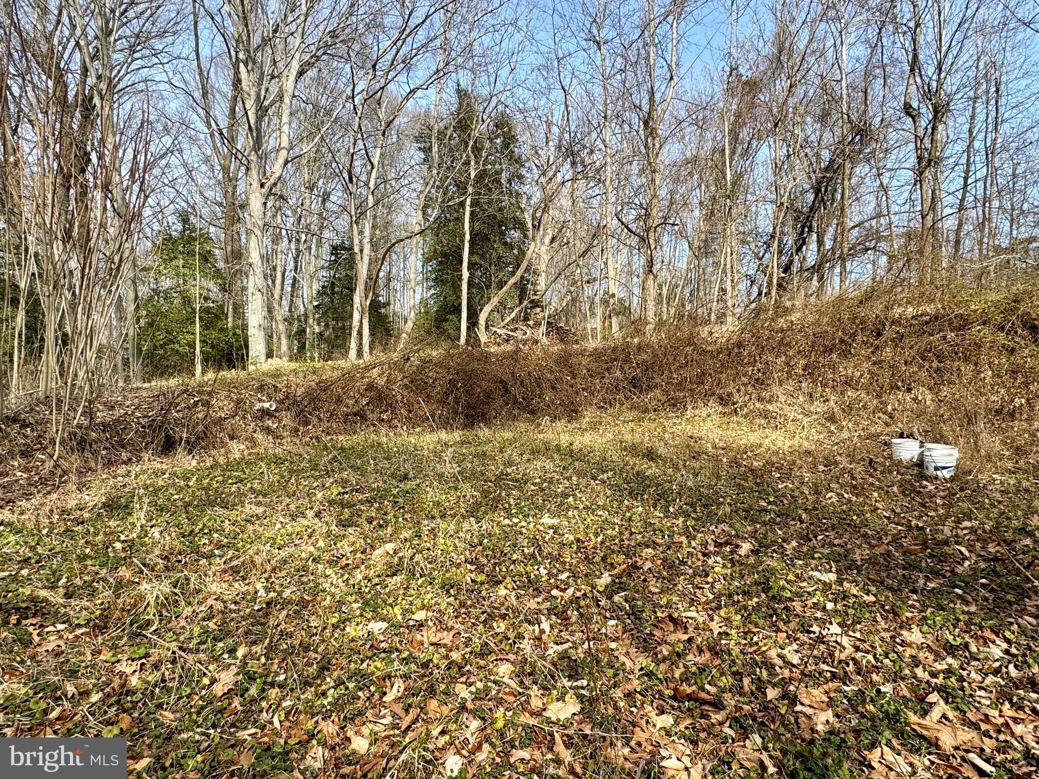10226 Springhill Newtown Road La Plata, MD 20646 - Photo 12 of 39 a view of outdoor space and yard
