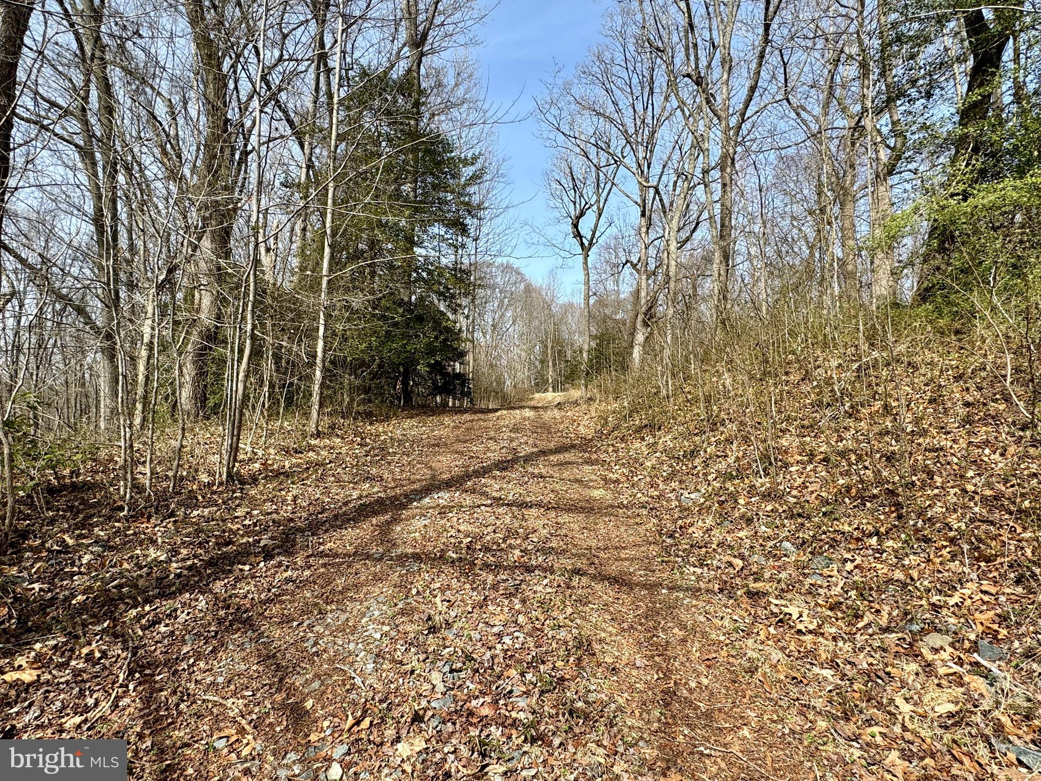 10226 Springhill Newtown Road La Plata, MD 20646 - Photo 16 of 39 a view of empty space with trees