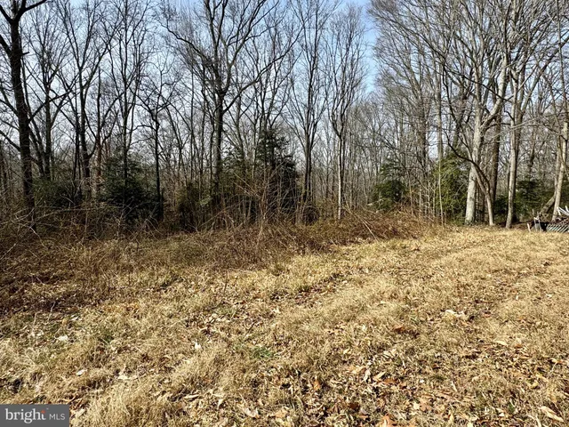 a backyard of a house with large trees