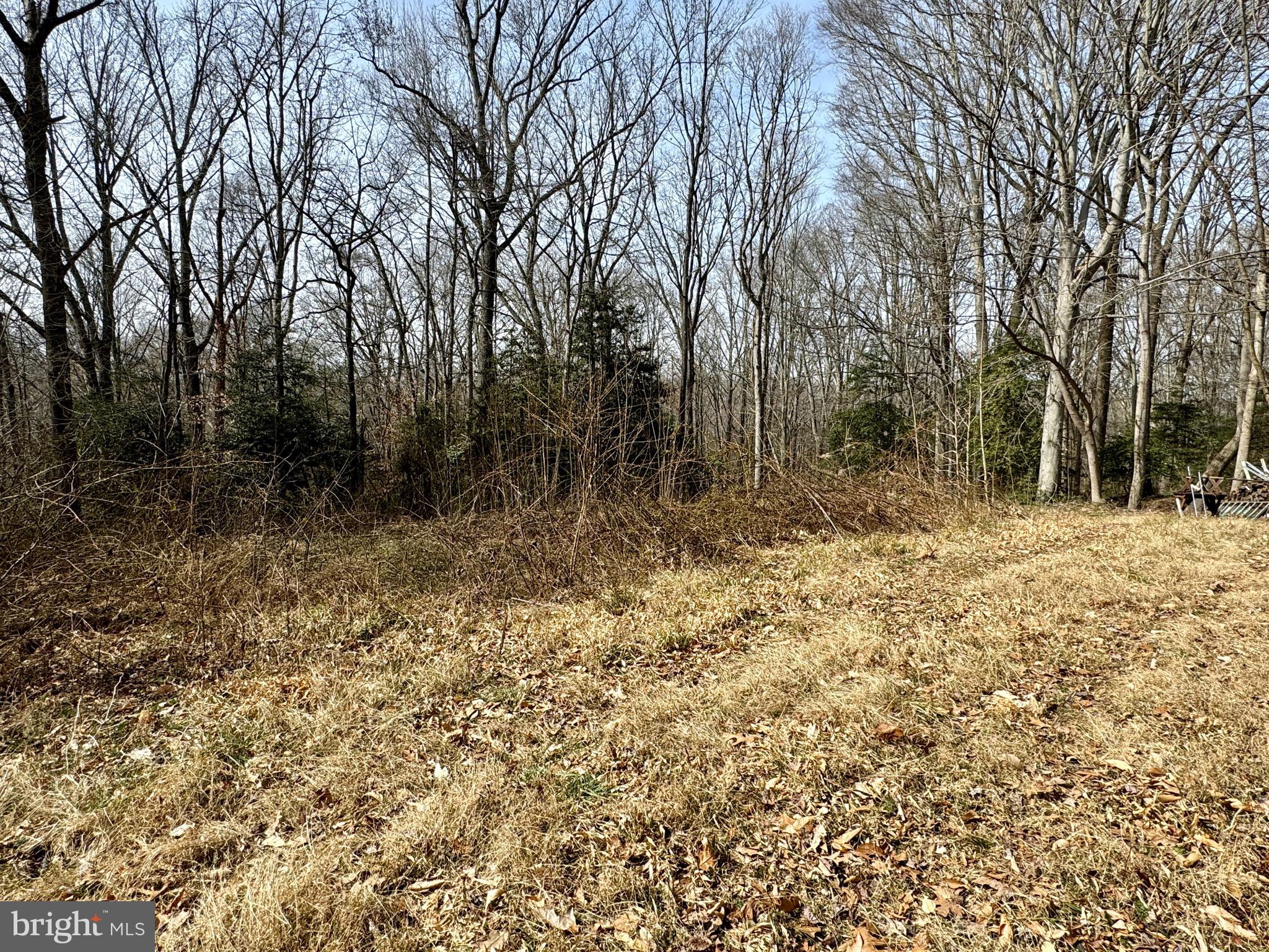 10226 Springhill Newtown Road La Plata, MD 20646 - Photo 18 of 39 a backyard of a house with large trees