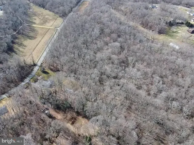 a view of a yard with a trees