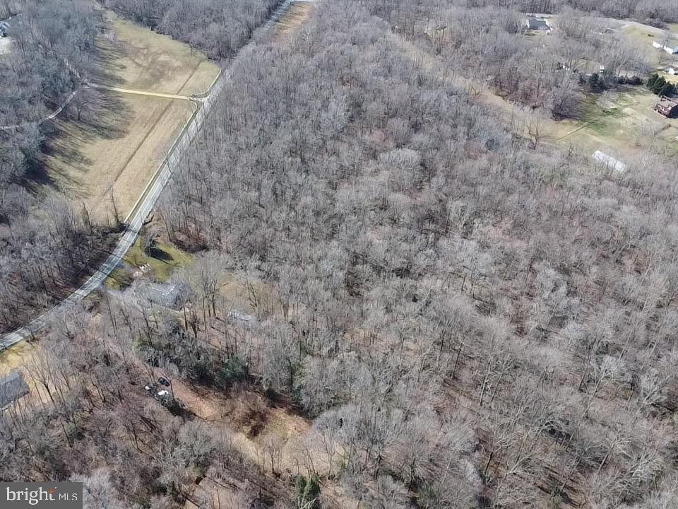 10226 Springhill Newtown Road La Plata, MD 20646 - Photo 22 of 39 a view of a dry yard
