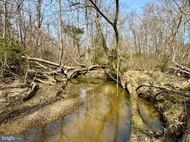 a view of a backyard with of the trees