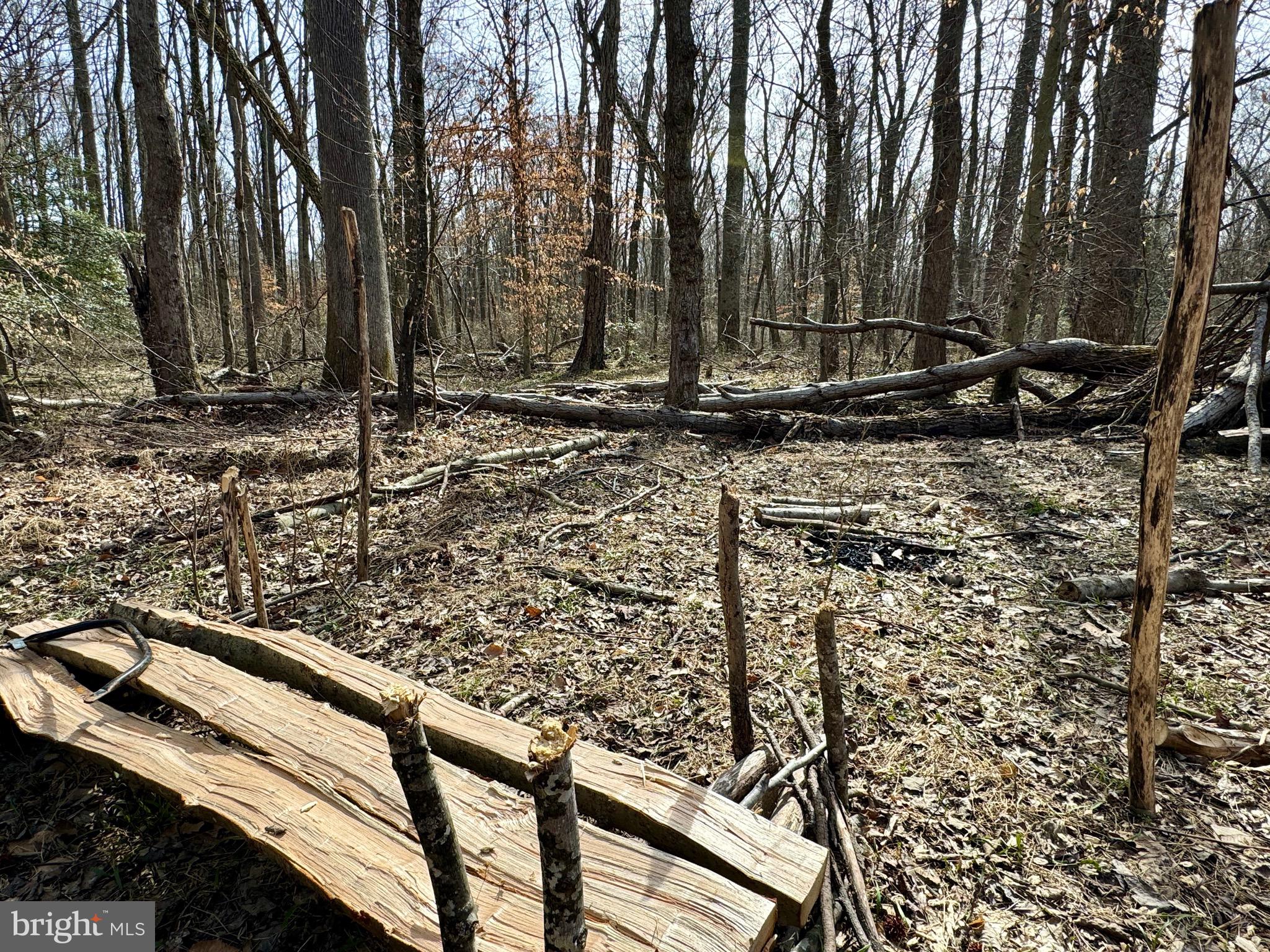 10226 Springhill Newtown Road La Plata, MD 20646 - Photo 25 of 39 a view of a backyard with of the trees