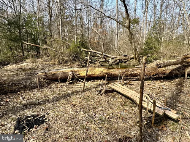 a view of outdoor space and trees