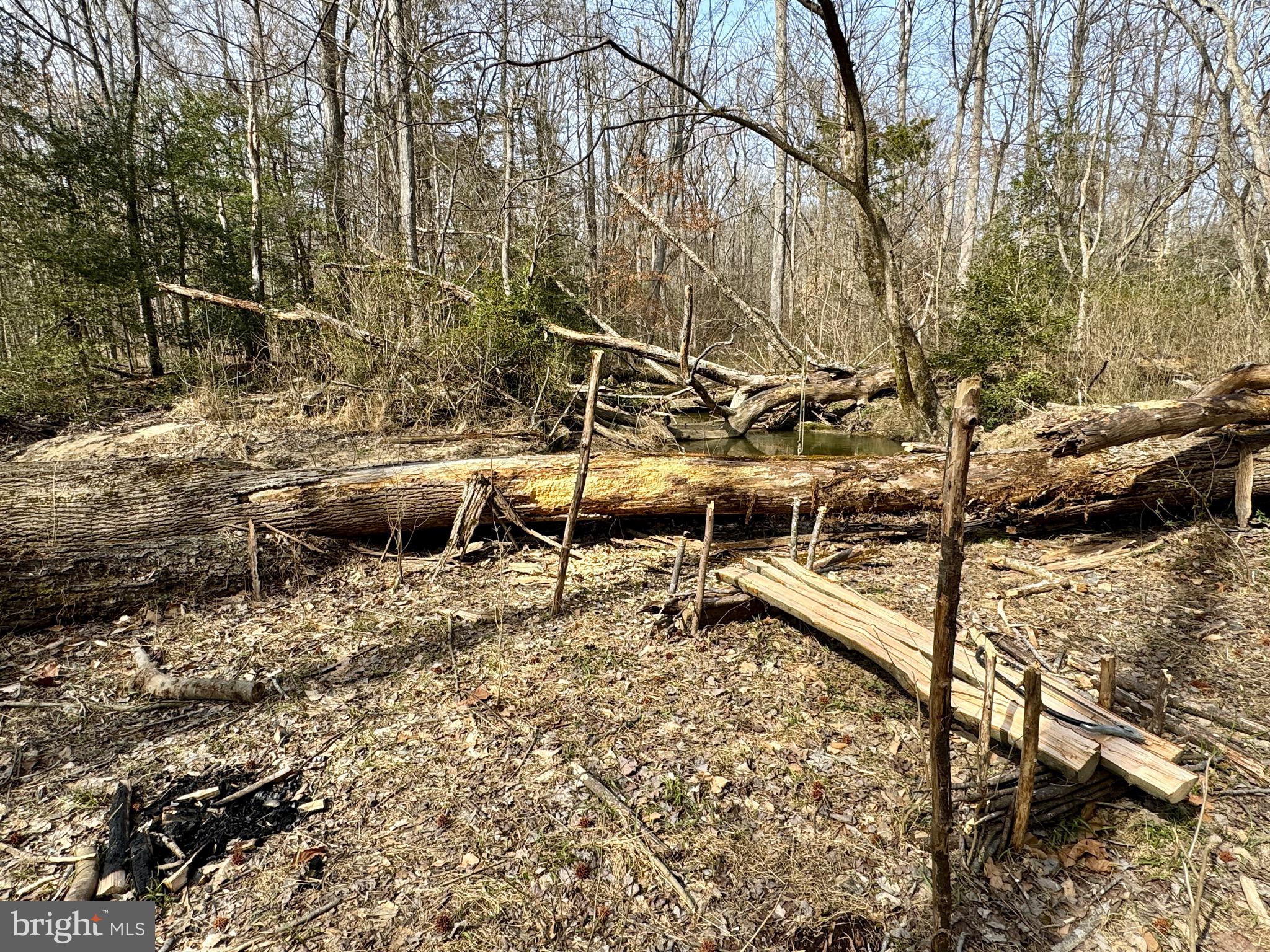 10226 Springhill Newtown Road La Plata, MD 20646 - Photo 26 of 39 a view of an outdoor space with seating area