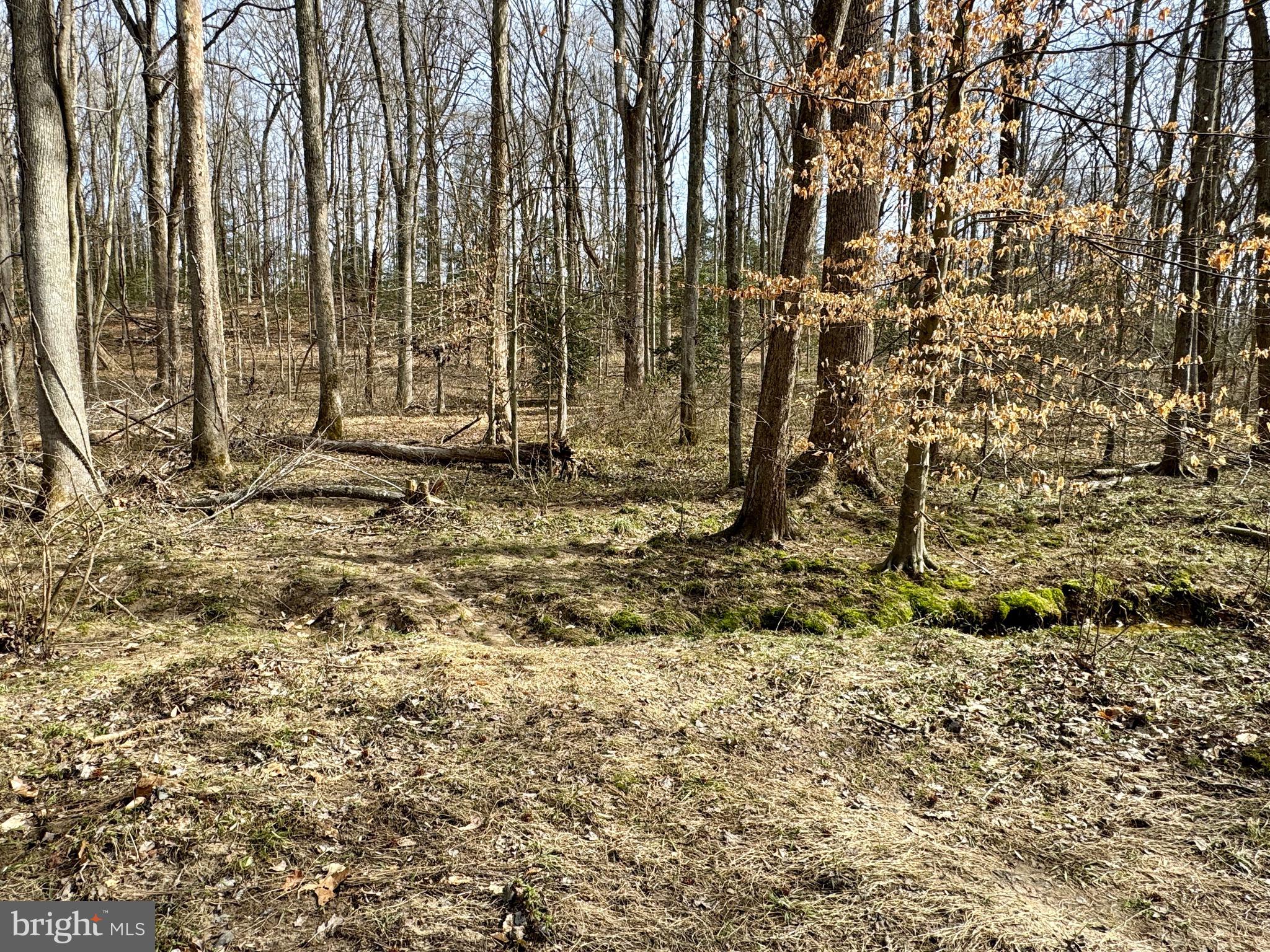 10226 Springhill Newtown Road La Plata, MD 20646 - Photo 27 of 39 a view of under construction area