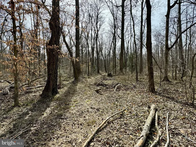 a view of outdoor space and green trees