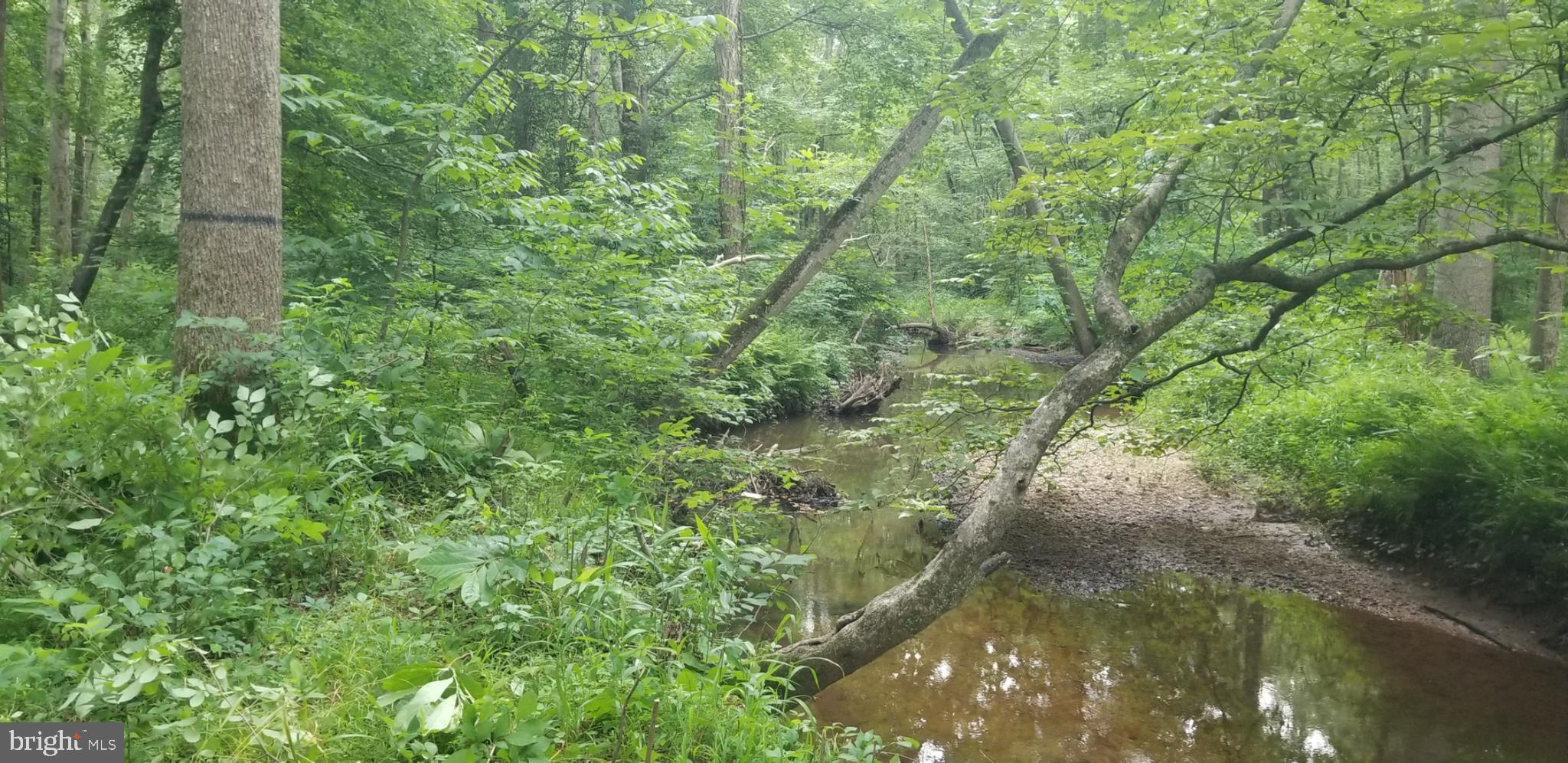 10226 Springhill Newtown Road La Plata, MD 20646 - Photo 31 of 39