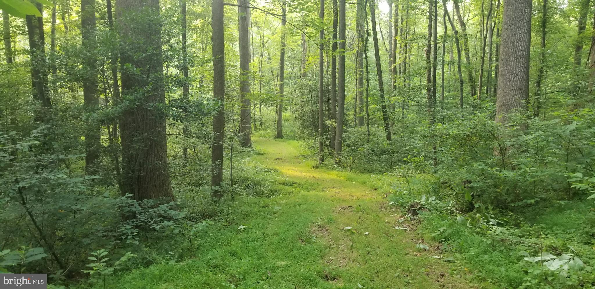 10226 Springhill Newtown Road La Plata, MD 20646 - Photo 32 of 39 a view of outdoor space and green trees