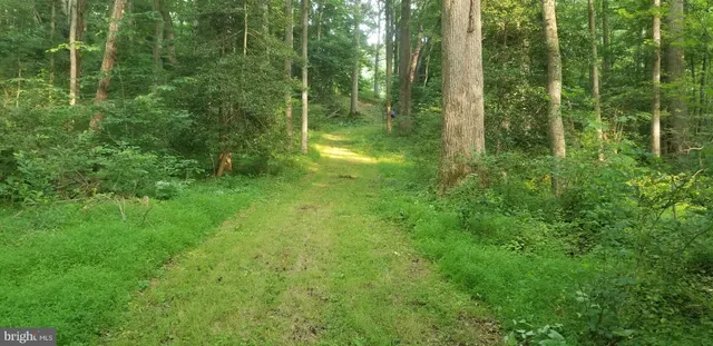 $285,000 | 10226 Springhill Newtown Road, La Plata, MD 20646