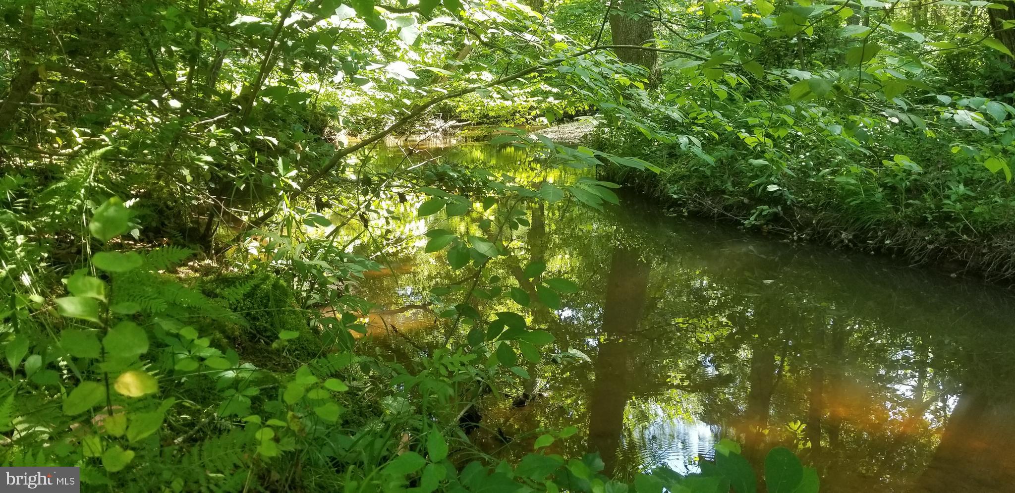 10226 Springhill Newtown Road La Plata, MD 20646 - Photo 35 of 39 a view of a tree in a garden